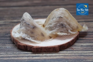 Tổ yến thô là sản phẩm rất được ưa chuộng trên thị trường. Cùng Tâm Phúc Yến tìm hiểu về cấu tạo, thành phần dinh dưỡng của tổ yến thô nhé.